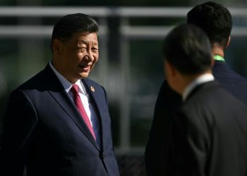 Chinese President Xi Jinping urged leaders to help 'cool the Ukraine crisis and seek a political solution'. ©AFP