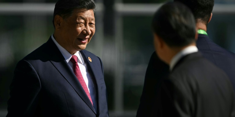 Chinese President Xi Jinping urged leaders to help 'cool the Ukraine crisis and seek a political solution'. ©AFP