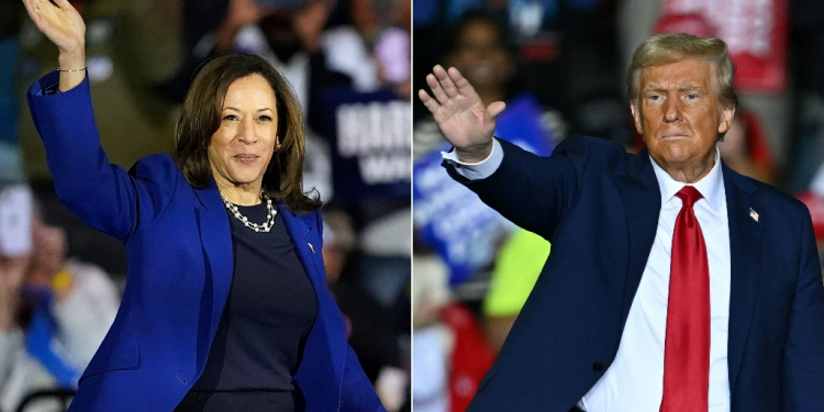 US Vice President Kamala Harris is neck and neck with former president Donald Trump / ©AFP