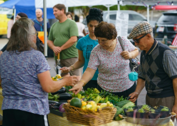 People shop for fresh produce and food at a farmer's market on June 29, 2021, in Homewood, Alabama. ©AFP