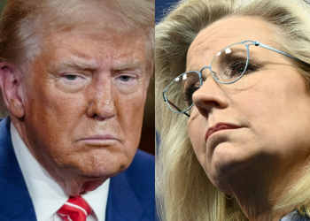 Donald Trump has a long history of attacking Liz Cheney / ©AFP