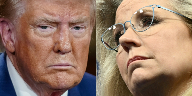 Donald Trump has a long history of attacking Liz Cheney / ©AFP