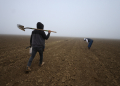 Around 2.4 million people work in farming in the United States, 44 percent of whom are undocumented, according to a survey by the US Department of Labor / ©AFP