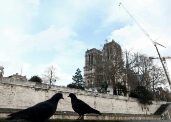 The 850-year-old edifice will welcome visitors and worshippers again this Saturday and Sunday. ©AFP