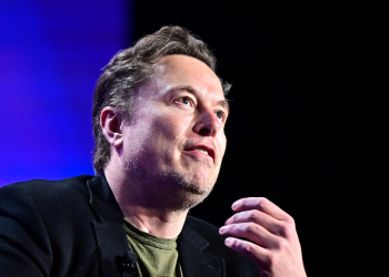 Elon Musk says he will slash government spending / ©AFP