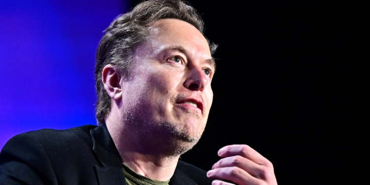 Elon Musk says he will slash government spending / ©AFP