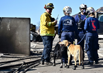 Search teams are using cadaver dogs as they look for the dozens of people still listed as missing in the Los Angeles fires. ©AFP