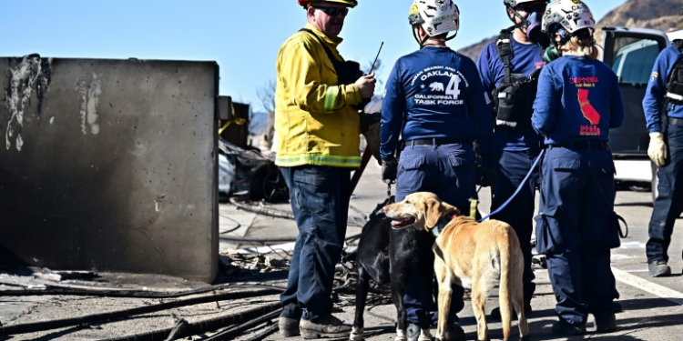 Search teams are using cadaver dogs as they look for the dozens of people still listed as missing in the Los Angeles fires. ©AFP