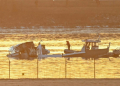 Part of the wreckage is seen as rescue boats search the waters of the Potomac River near Washington, on January 30, 2025. ©AFP