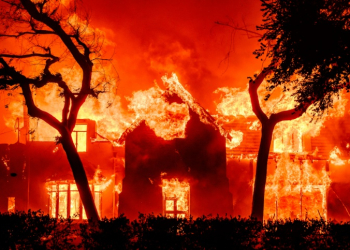 Wildfires have inflicted unprecedented destruction on Los Angeles, America's second largest city. ©AFP