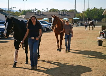 Hundreds of animals that have been made homeless by the Los Angeles fires have found a temporary home at the Los Angeles Equestrian Center. ©AFP