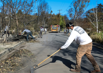 Chuck Hart's team of employees are not being paid or contracted by officials to do clean-up work, and are only focusing on public roads and sidewalks . ©AFP