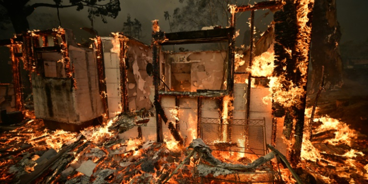 Swathes of the Los Angeles area have been ravaged by violent fires that have killed at least five people. ©AFP