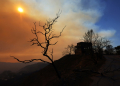 The plume from the Palisades Fire drifts into the mountains in Topanga, California on January 9, 2025. ©AFP