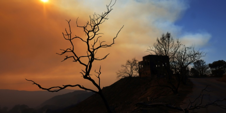 The plume from the Palisades Fire drifts into the mountains in Topanga, California on January 9, 2025. ©AFP