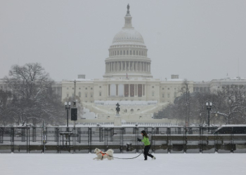 A woman walks her dog near the US Capitol as snow falls during a winter storm in Washington on January 6, 2025. ©AFP