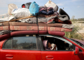 A displaced Palestinian child playes with a kitten in a car on Salah al-Din road in Nuseirat as people make their way to the north of the Gaza Strip / ©AFP