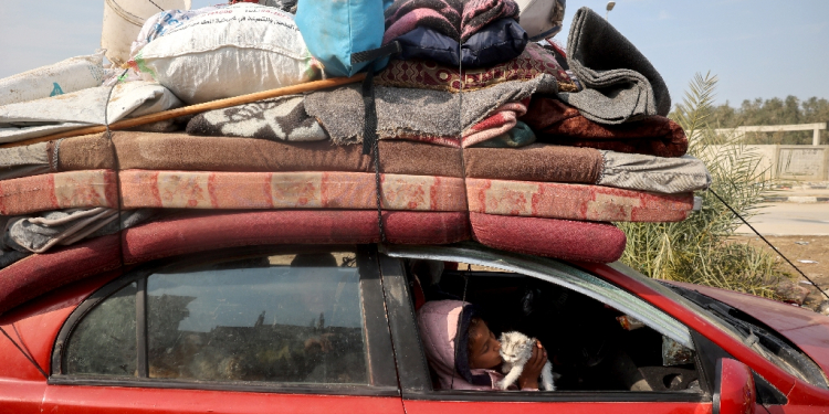 A displaced Palestinian child playes with a kitten in a car on Salah al-Din road in Nuseirat as people make their way to the north of the Gaza Strip / ©AFP