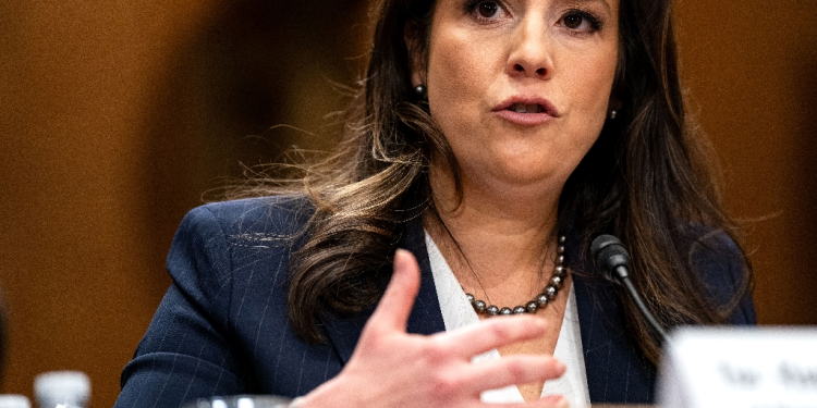 Elise Stefanik testifies before the US Senate Foreign Relations Committee on January 21, 2025 / ©AFP