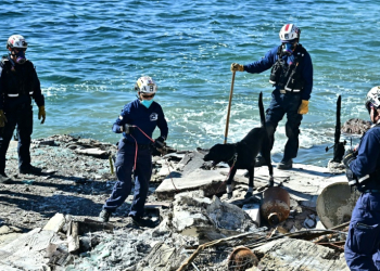 A search dog can cover a collapsed house in five minutes, doing a job that would take five firefighters upto 20 minutes. ©AFP