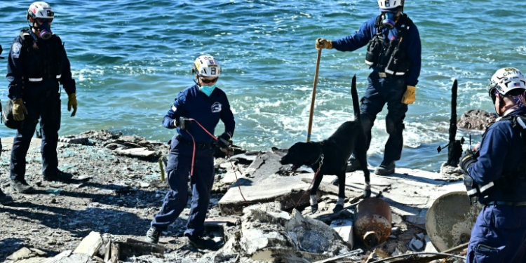 A search dog can cover a collapsed house in five minutes, doing a job that would take five firefighters upto 20 minutes. ©AFP