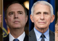 Pardoned to protect them from Trump's revenge -- retired general Mark Milley, US Representative Adam Schiff, Anthony Fauci and US Representative Liz Cheney. ©AFP