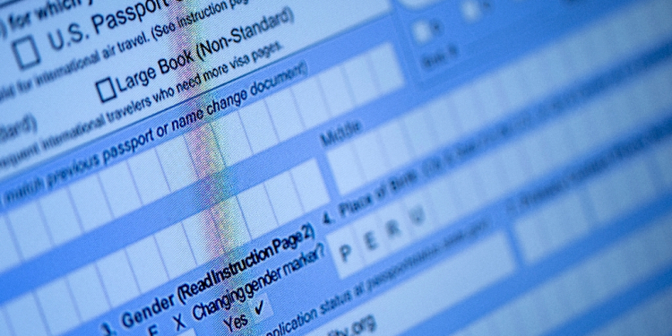 A partially completed passport application, with an 'X' gender marker, is seen on a computer monitor in 2022 / ©AFP