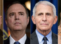 Pardoned to protect them from Trump's revenge -- retired general Mark Milley, Senator Adam Schiff, Covid advisor Anthony Fauci and former Representative Liz Cheney / ©AFP