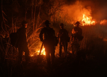 Firefighters help control the spread of the Auto Fire in Oxnard, northwest of Los Angeles, California. ©AFP