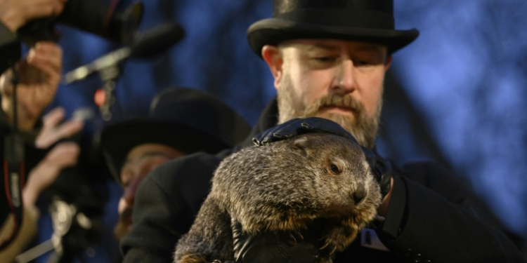 Groundhog Day is a major yearly event in Gobbler's Knob in Punxsutawney, Pennsylvania. ©AFP