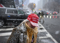 Snow fell as thousands remained in line to see US President-elect Donald Trump speak at victory rally in Washington on Sunday  / ©AFP